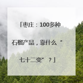 枣庄：100多种石榴产品，靠什么“七十二变”？