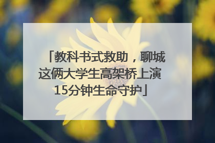 教科书式救助，聊城这俩大学生高架桥上演15分钟生命守护