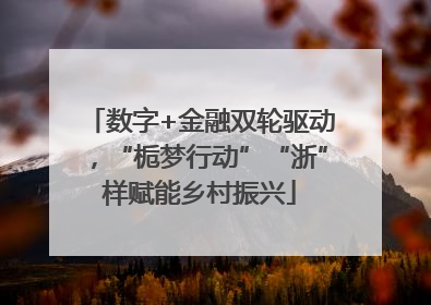 数字+金融双轮驱动，“栀梦行动”“浙”样赋能乡村振兴