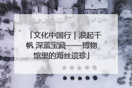 文化中国行｜浪起千帆 深蓝宝藏——博物馆里的海丝遗珍