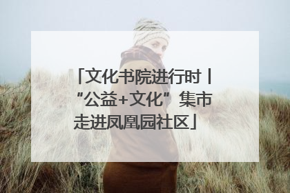 文化书院进行时丨“公益+文化”集市走进凤凰园社区