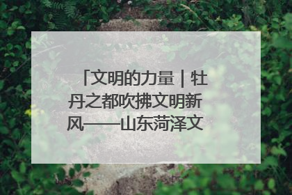 文明的力量｜牡丹之都吹拂文明新风——山东菏泽文明创建一线见闻