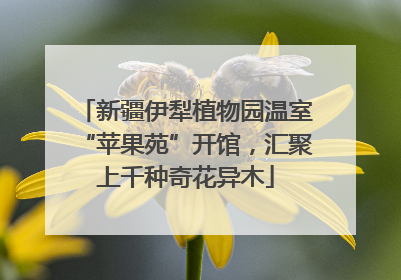 新疆伊犁植物园温室“苹果苑”开馆，汇聚上千种奇花异木