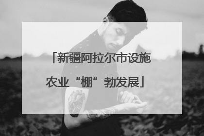新疆阿拉尔市设施农业“棚”勃发展