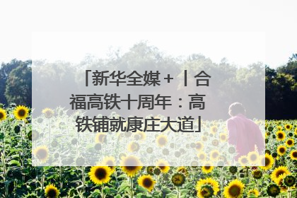 新华全媒＋丨合福高铁十周年：高铁铺就康庄大道