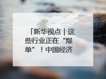 新华视点｜这些行业正在“爆单”！中国经济活力密码