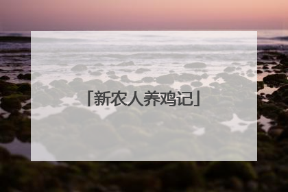 新农人养鸡记