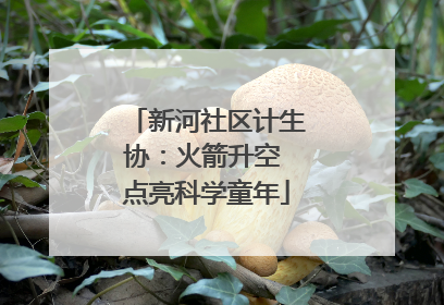新河社区计生协：火箭升空 点亮科学童年