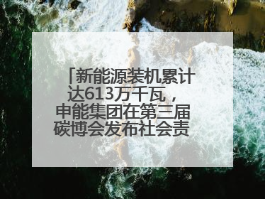 新能源装机累计达613万千瓦，申能集团在第三届碳博会发布社会责任报告