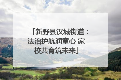 新野县汉城街道：法治护航润童心 家校共育筑未来