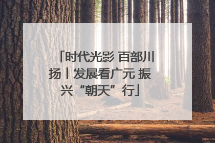 时代光影 百部川扬丨发展看广元 振兴“朝天”行