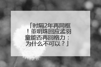 时隔2年再同框！董明珠回应孟羽童能否再回格力：为什么不可以？