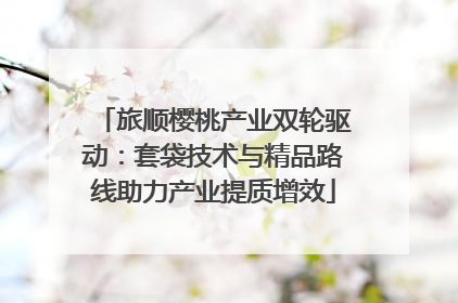 旅顺樱桃产业双轮驱动：套袋技术与精品路线助力产业提质增效