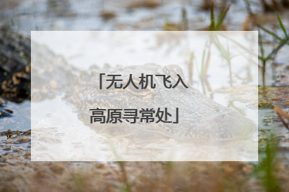 无人机飞入高原寻常处