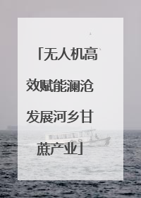 无人机高效赋能澜沧发展河乡甘蔗产业