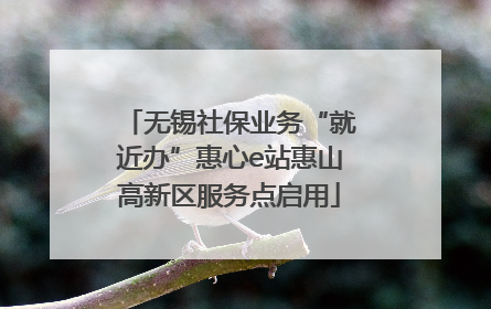 无锡社保业务“就近办”惠心e站惠山高新区服务点启用