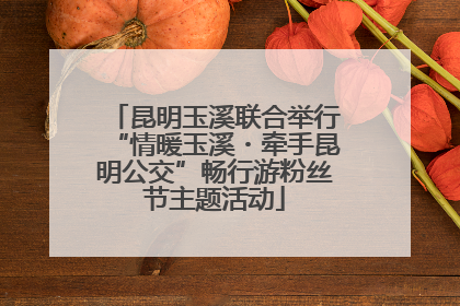 昆明玉溪联合举行“情暖玉溪・牵手昆明公交”畅行游粉丝节主题活动