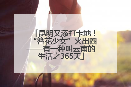 昆明又添打卡地！“簪花少女”火出圈——有一种叫云南的生活之365天