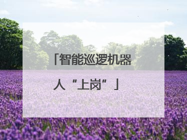 智能巡逻机器人“上岗”