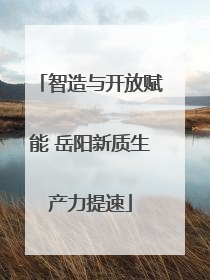 智造与开放赋能 岳阳新质生产力提速