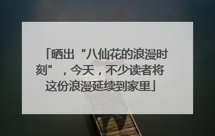 晒出“八仙花的浪漫时刻”，今天，不少读者将这份浪漫延续到家里