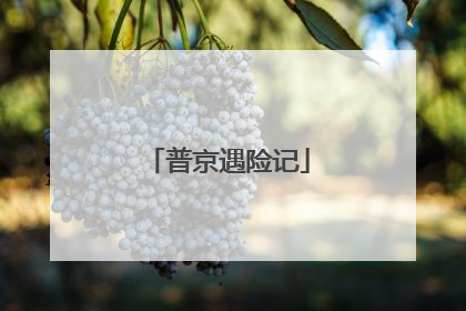 普京遇险记