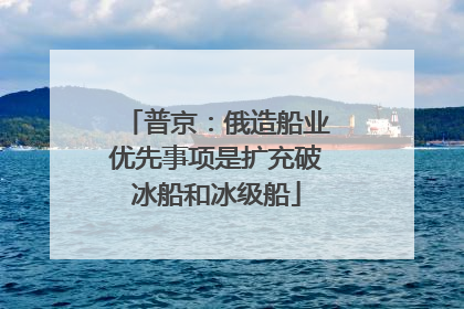 普京：俄造船业优先事项是扩充破冰船和冰级船