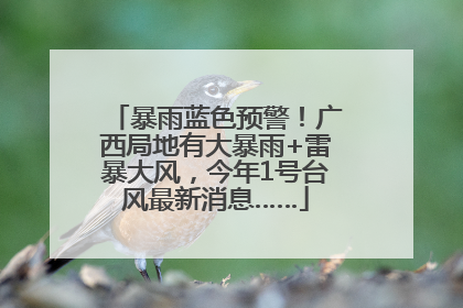 暴雨蓝色预警！广西局地有大暴雨+雷暴大风，今年1号台风最新消息……