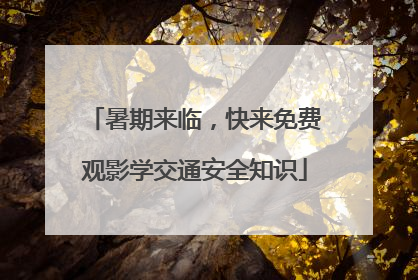 暑期来临，快来免费观影学交通安全知识