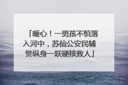 暖心！一男孩不慎落入河中，苏仙公安民辅警纵身一跃硬核救人
