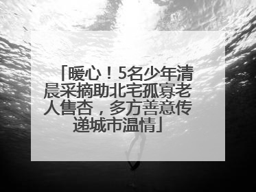 暖心！5名少年清晨采摘助北宅孤寡老人售杏，多方善意传递城市温情