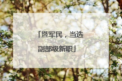 暨军民，当选副部级新职