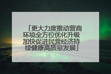 更大力度推动营商环境全方位优化升级加快促进民营经济持续健康高质量发展