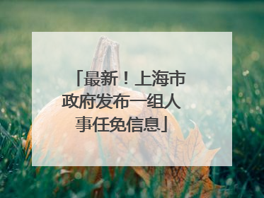 最新！上海市政府发布一组人事任免信息
