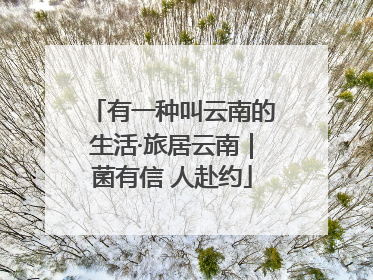 有一种叫云南的生活·旅居云南｜菌有信 人赴约