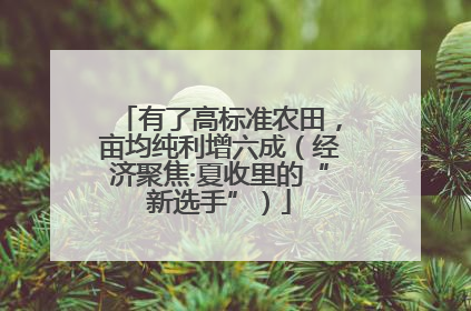 有了高标准农田，亩均纯利增六成（经济聚焦·夏收里的“新选手”）
