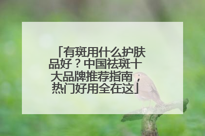 有斑用什么护肤品好？中国祛斑十大品牌推荐指南，热门好用全在这