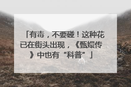 有毒，不要碰！这种花已在街头出现，《甄嬛传》中也有“科普”