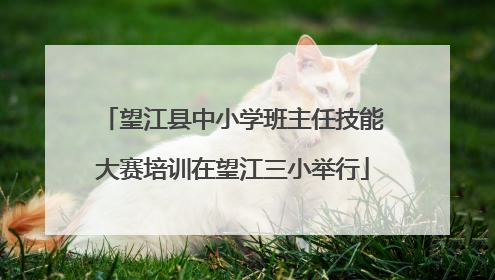 望江县中小学班主任技能大赛培训在望江三小举行