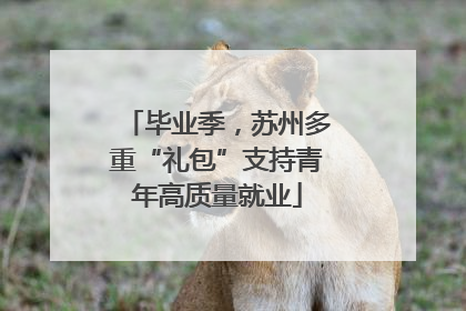 毕业季，苏州多重“礼包”支持青年高质量就业