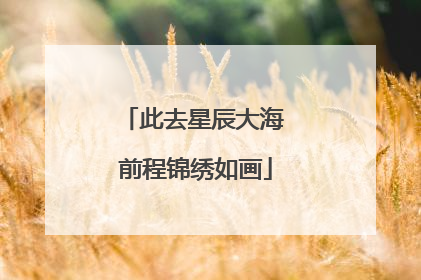 此去星辰大海 前程锦绣如画