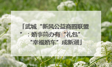 武城“新风公益商圈联盟”：婚事简办有“礼包” “幸福婚车”成新潮