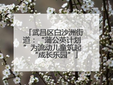 武昌区白沙洲街道：“蒲公英计划”为流动儿童筑起“成长乐园”