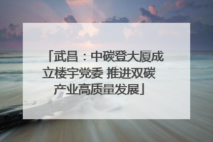 武昌：中碳登大厦成立楼宇党委 推进双碳产业高质量发展