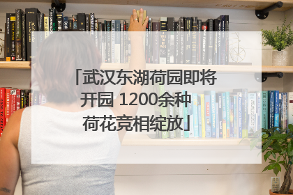 武汉东湖荷园即将开园 1200余种荷花竞相绽放