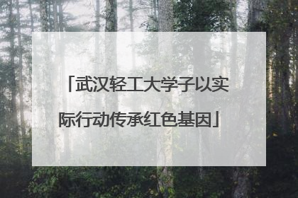武汉轻工大学子以实际行动传承红色基因