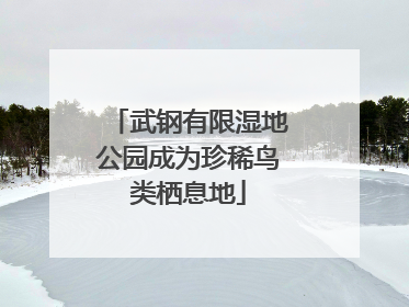 武钢有限湿地公园成为珍稀鸟类栖息地