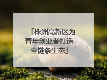 株洲高新区为青年创业者打造全链条生态