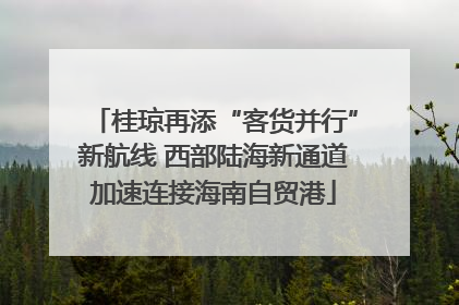 桂琼再添“客货并行”新航线 西部陆海新通道加速连接海南自贸港
