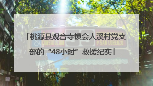 桃源县观音寺镇会人溪村党支部的“48小时”救援纪实